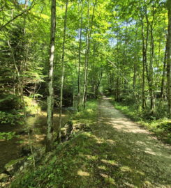 ⛰️ Gorges de Court – Moutier