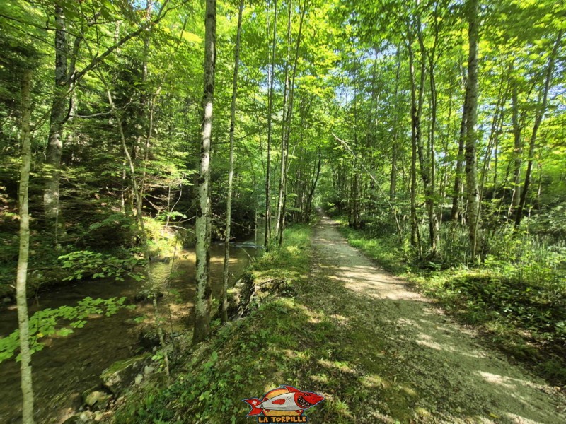  Rive droite de la Birse. Gorges de Court - Moutier