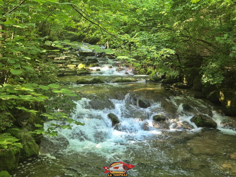  Rive droite de la Birse. Gorges de Court - Moutier