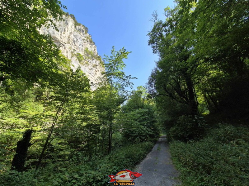  Rive droite de la Birse. Gorges de Court - Moutier