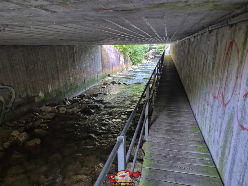 rive gauche de la Birse. Gorges de Court - Moutier