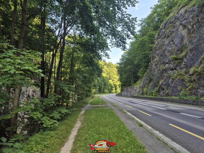 rive gauche de la Birse. Gorges de Court - Moutier