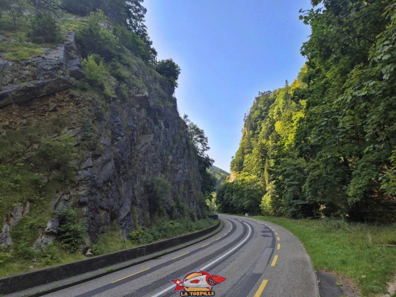 rive gauche de la Birse. La vue vers l'arrière. Gorges de Court - Moutier
