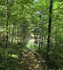 ⛰️ Gorges de Court – Moutier