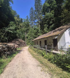 ⛰️ Gorges de Court – Moutier