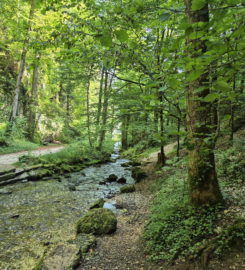 ⛰️ Gorges de Court – Moutier