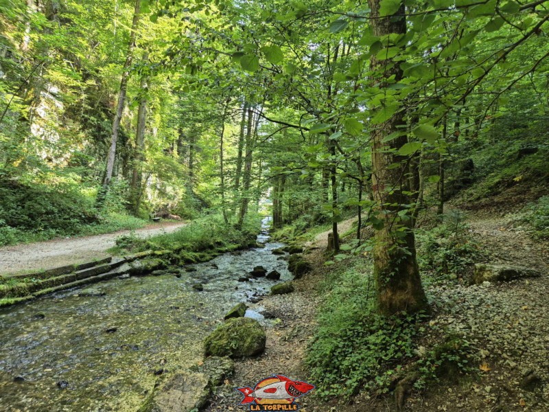 Le passage par des petites gorges formées par le ruisseau de la Foule. Gorges de Court - Moutier
