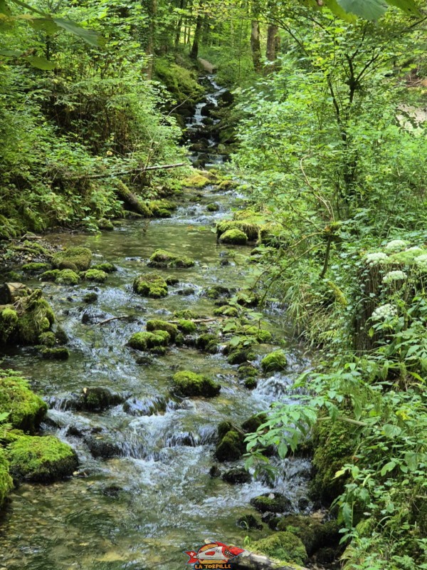 Le passage par des petites gorges formées par le ruisseau de la Foule. Gorges de Court - Moutier