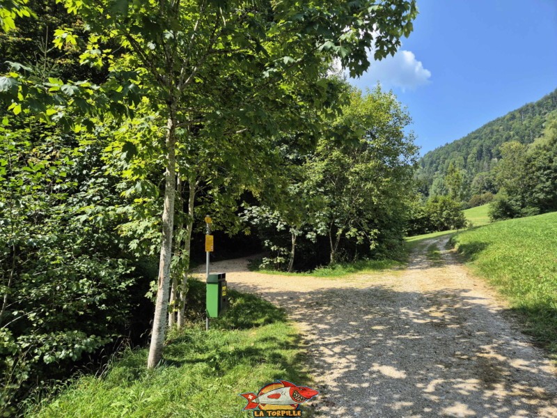 Sentier en graviers. Gorges de Perrefitte, Jura bernois.