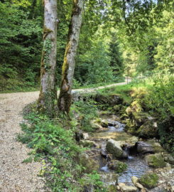 ⛰️ Gorges de Perrefitte