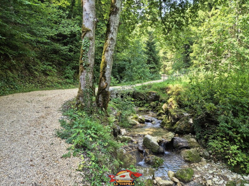 Sentier en graviers. Gorges de Perrefitte, Jura bernois.