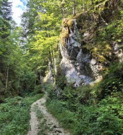 ⛰️ Gorges de Perrefitte