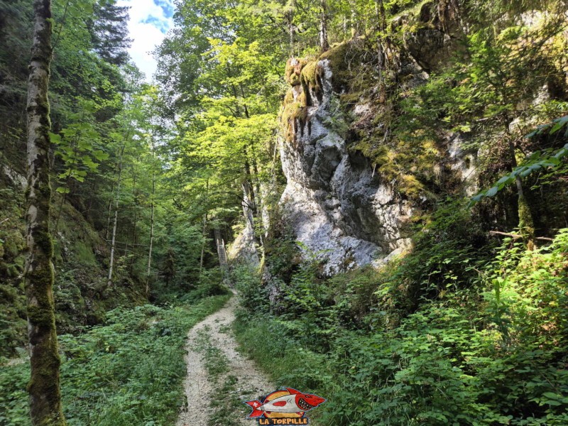 Premier escalier. Gorges de Perrefitte, Jura bernois.