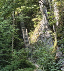 ⛰️ Gorges de Perrefitte