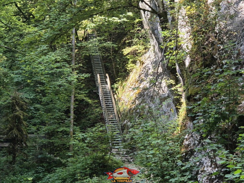 Premier escalier. Gorges de Perrefitte, Jura bernois.