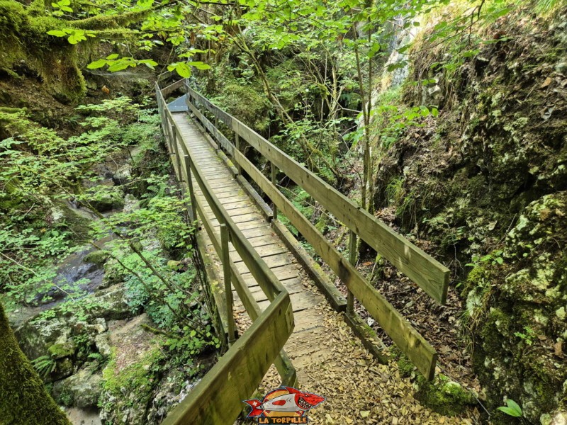 Ponts 1 et 2. Gorges de Perrefitte, Jura bernois.