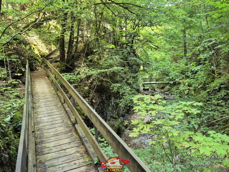 Ponts 1 et 2. Gorges de Perrefitte, Jura bernois.