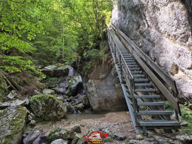 Premier escalier. Gorges de Perrefitte, Jura bernois.