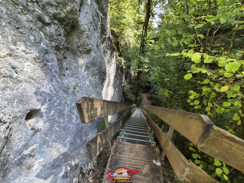 Premier escalier. Gorges de Perrefitte, Jura bernois.
