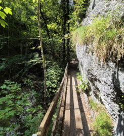 ⛰️ Gorges de Perrefitte