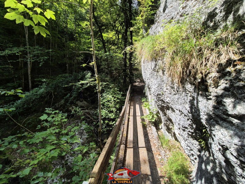 Deuxième escalier. Gorges de Perrefitte, Jura bernois.