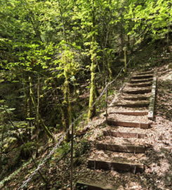 ⛰️ Gorges de Perrefitte