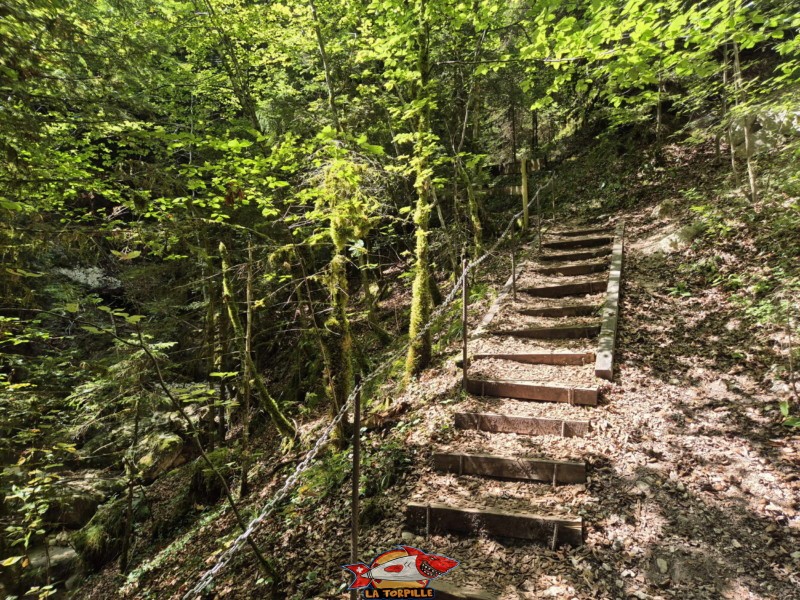 Deuxième escalier. Gorges de Perrefitte, Jura bernois.