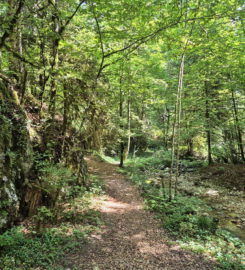 ⛰️ Gorges de Perrefitte