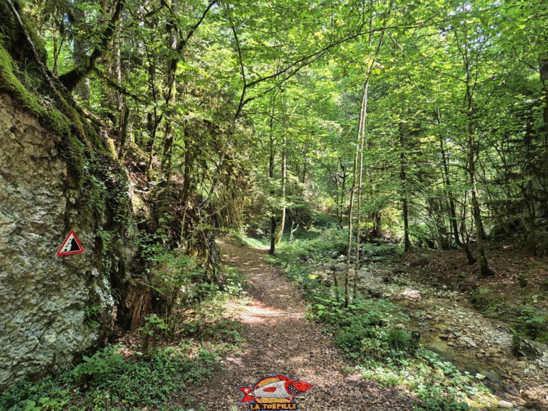 Ponts 3 et 4. Gorges de Perrefitte, Jura bernois.