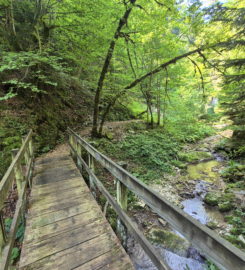 ⛰️ Gorges de Perrefitte