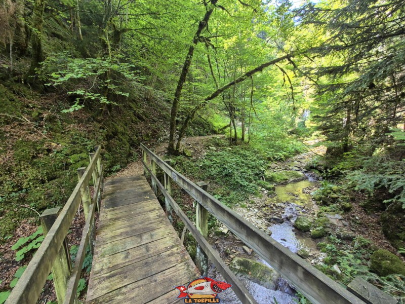 Ponts 3 et 4. Gorges de Perrefitte, Jura bernois.