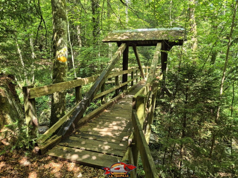 Ponts 3 et 4. Gorges de Perrefitte, Jura bernois.