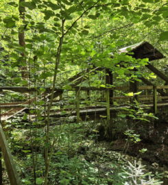 ⛰️ Gorges de Perrefitte