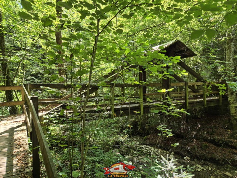 Ponts 3 et 4. Gorges de Perrefitte, Jura bernois.