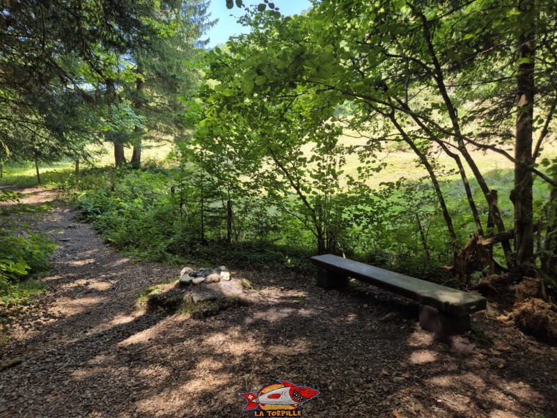 Ponts 5 & 6. Gorges de Perrefitte, Jura bernois.