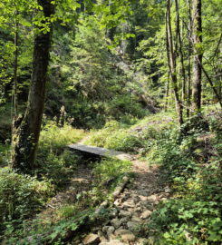 ⛰️ Gorges de Perrefitte