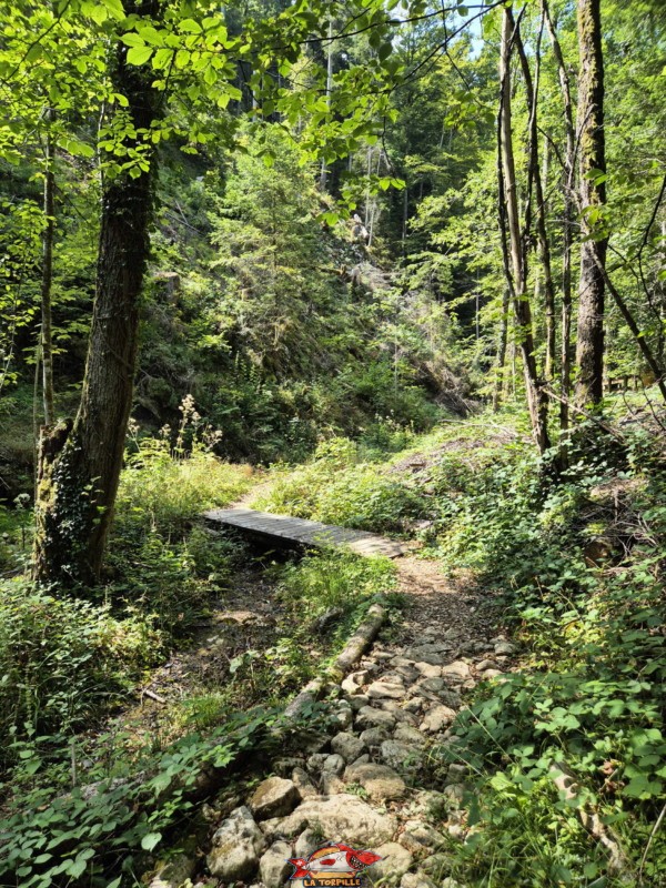 Ponts 5 & 6. Gorges de Perrefitte, Jura bernois.