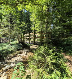 ⛰️ Gorges de Perrefitte