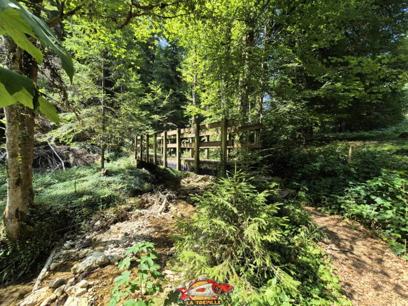 Ponts 5 & 6. Gorges de Perrefitte, Jura bernois.