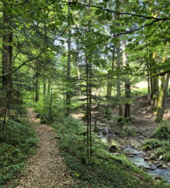 ⛰️ Gorges de Perrefitte