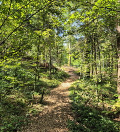 ⛰️ Gorges de Perrefitte
