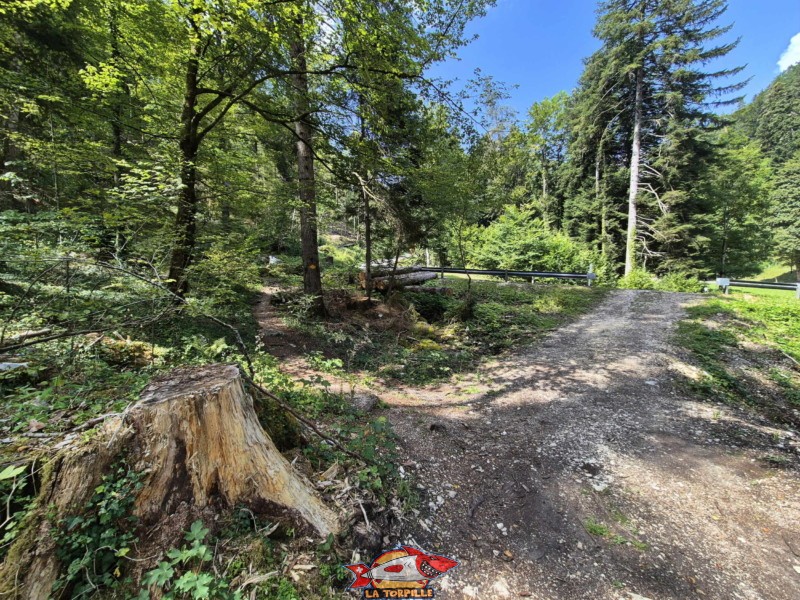 Sommet des Gorges. Gorges de Perrefitte, Jura bernois.