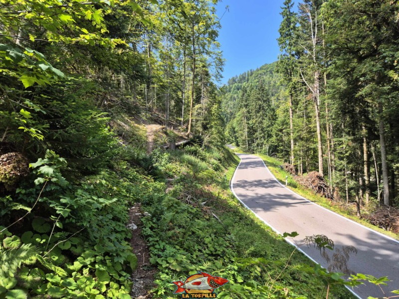 Montée raide. Gorges de Perrefitte, Jura bernois.