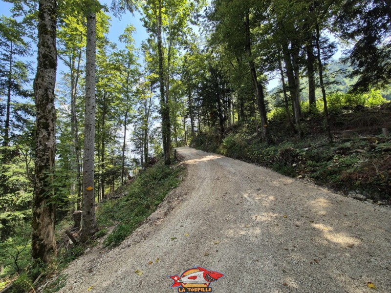 Plain Fayin. Gorges de Perrefitte, Jura bernois.