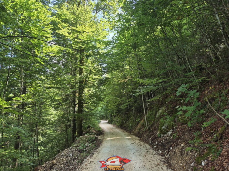 Sur les Gorges. Gorges de Perrefitte, Jura bernois.