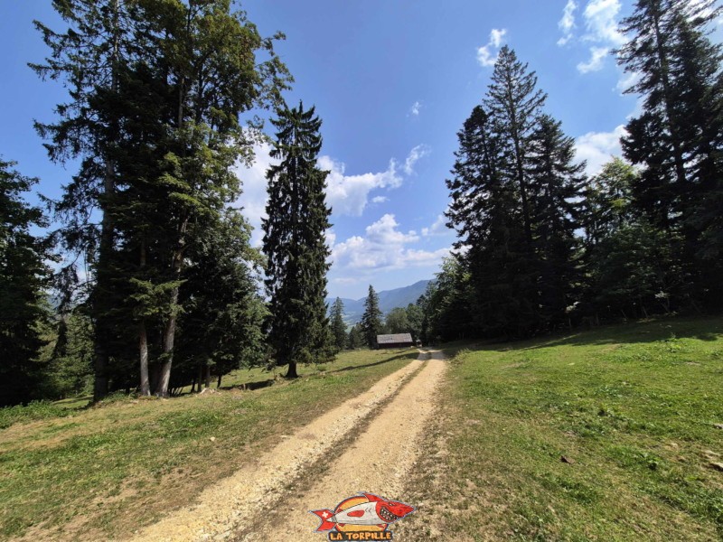 La redescente par le pâturage de Moron avec la vue sur la ville de Moutier.. Gorges de Perrefitte, Jura bernois.