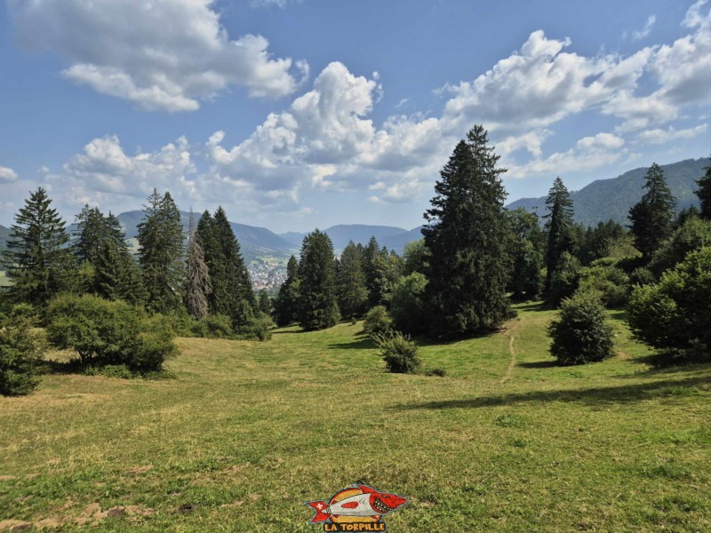  La redescente par le pâturage de Moron avec la vue sur la ville de Moutier.
