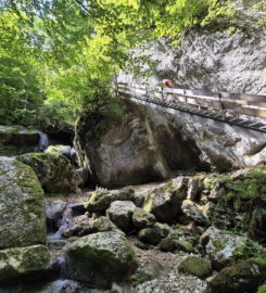 ⛰️ Gorges de Perrefitte