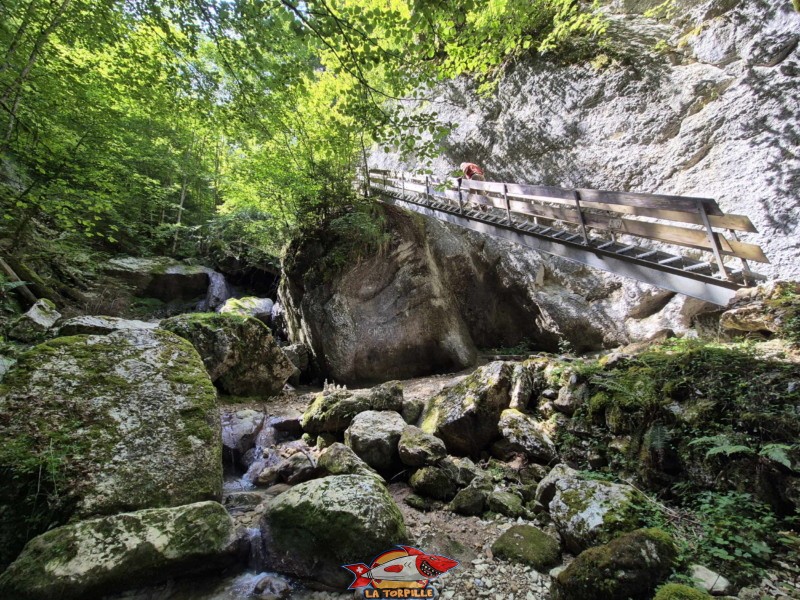 Premier escalier. Gorges de Perrefitte, Jura bernois.
