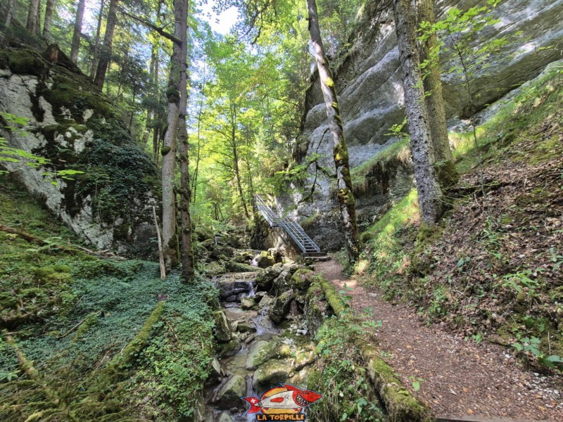 Deuxième escalier. Gorges de Perrefitte, Jura bernois.